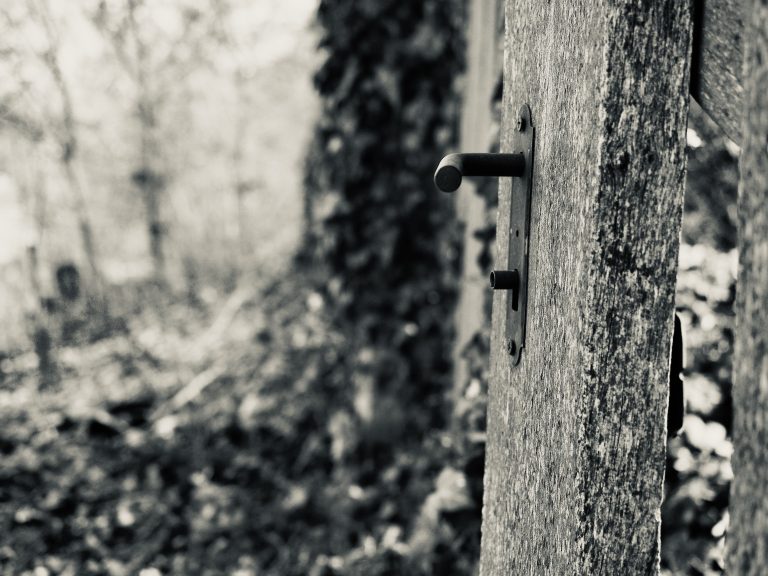 Street photo in Komárom, Hungary by Ákos Horváth