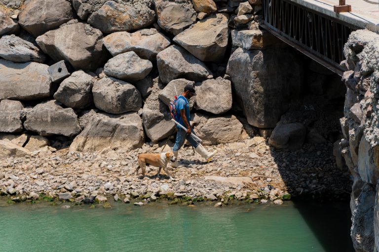 Street photo in Chapala, Mexico by Arturo Nuñez