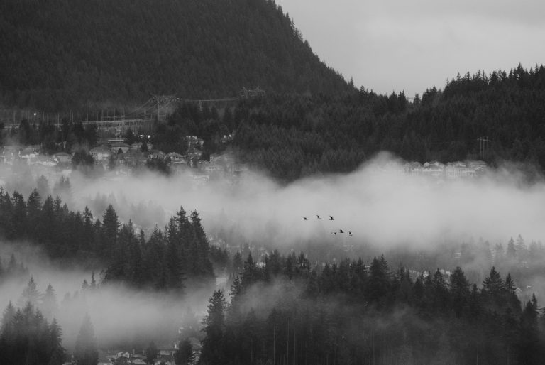 Street photo in Coquitlam, Canada by Kenson Wang