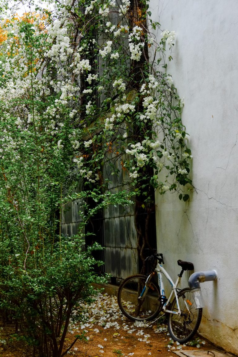 Street photo in Rishi Valley, India by Adhithya Rajan