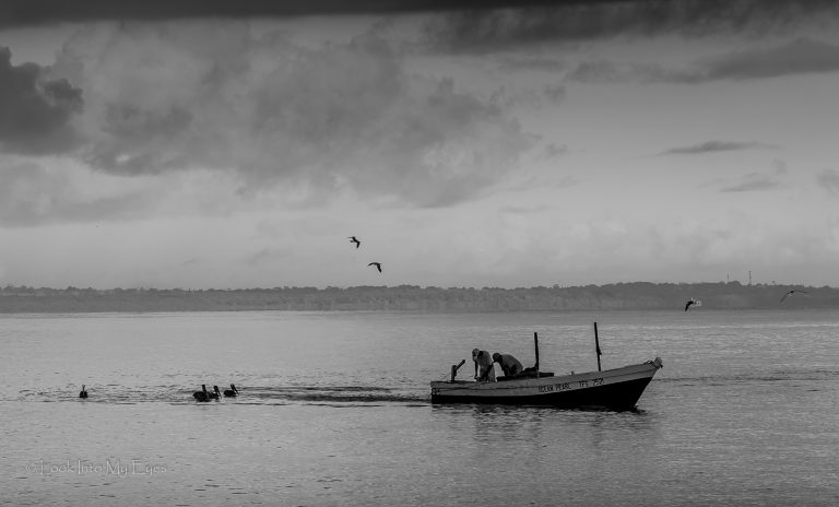 Street photo in Trinidad and Tobago by Roger Lewis
