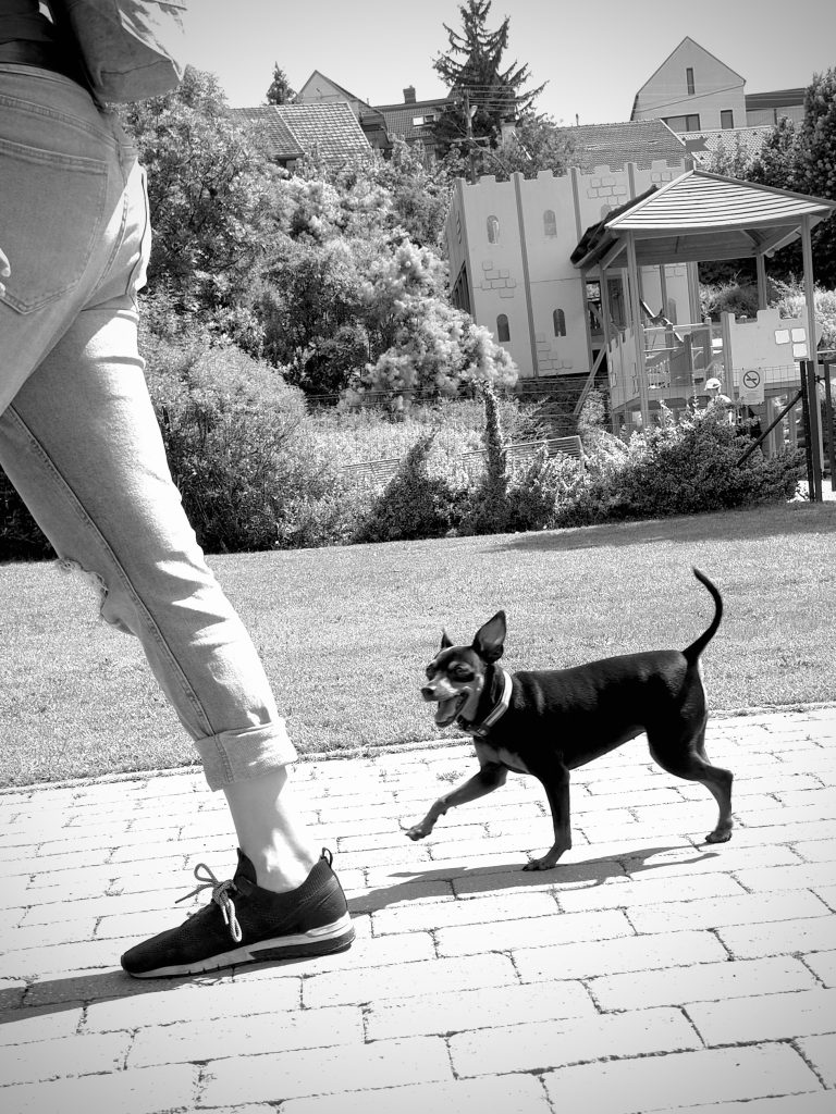 Street photo in Veszprém, Hungary by Ákos Horváth