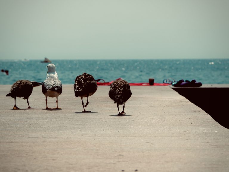 Street photo in Poreč, Croatia by Ákos Horváth