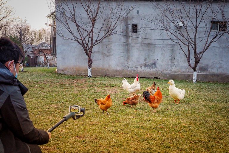 Street photo in Beijing, China by Alex 艾老师