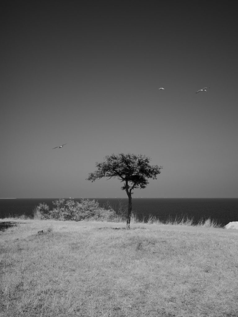 Street photo in Eforie, Romania by Szilard Locsei