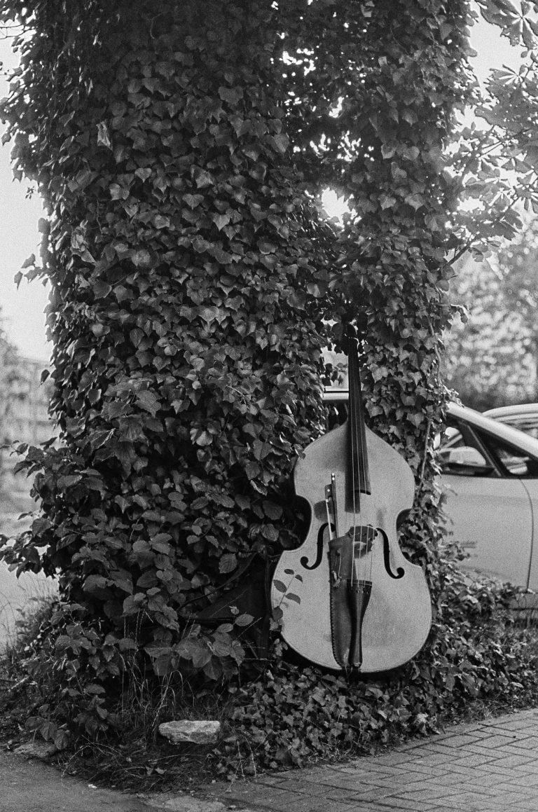 Street photo in Halle (Saale), Germany by Ralf Ellervee