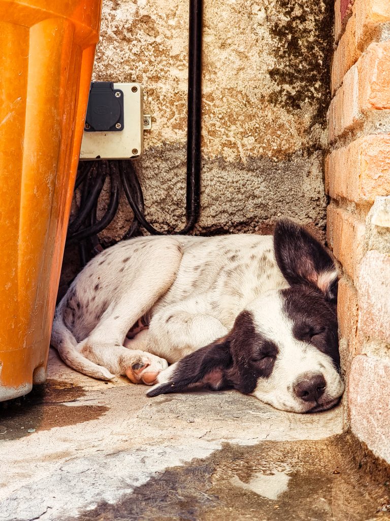 Street photo in Ayvalık, Turkey by Alex Bui