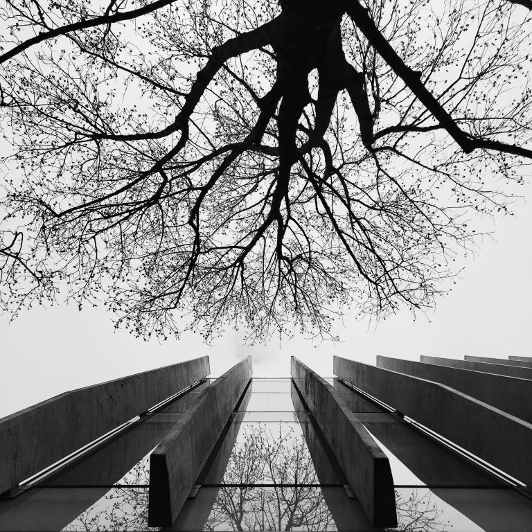 Street photo in Auckland, New Zealand by Ara In The Para