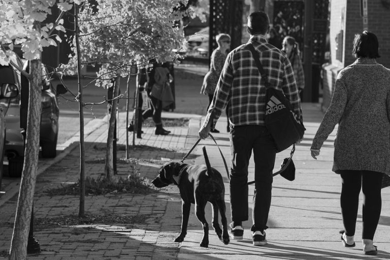 Street photo in Stratford, Canada by Brad Mckay