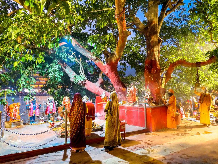 Street photo in Haridwar, India by Nilanjan Paul