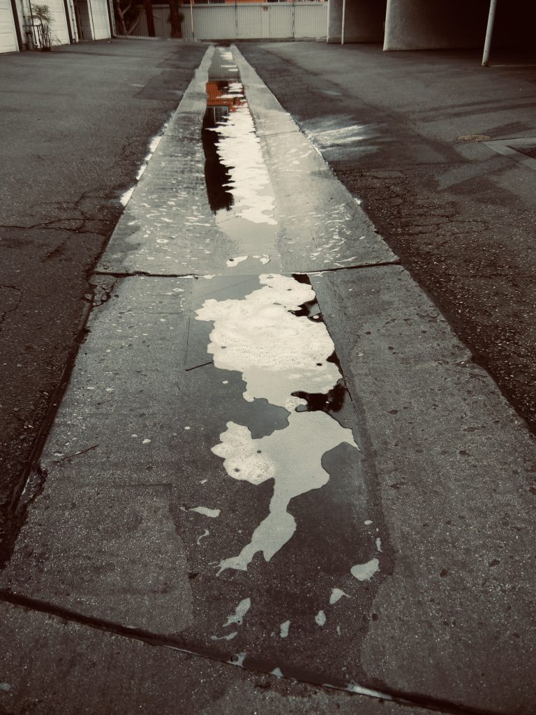 Street photo in Los Angeles, United States by Samantha Luevano