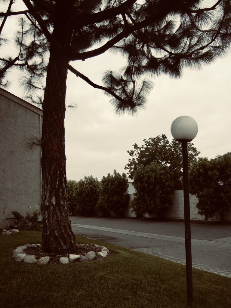 Street photo in Garden Grove, United States by Samantha Luevano