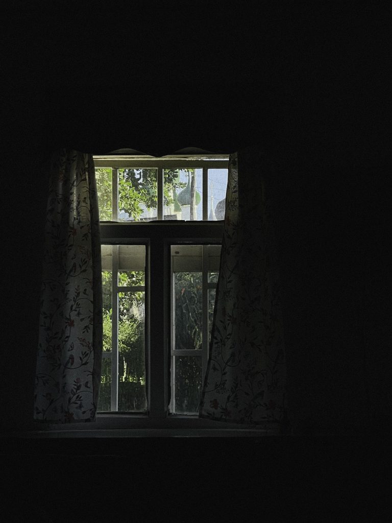 Photo by Nikita Marasandra