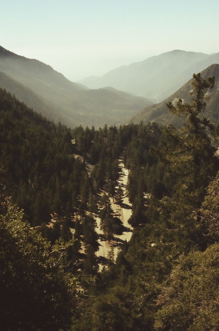 Street photo in Mt Baldy, United States by Samantha Luevano