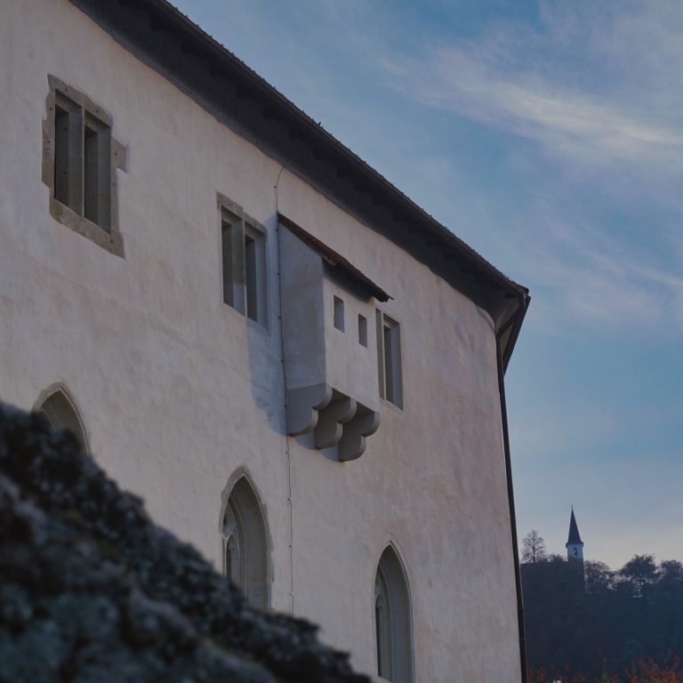 Street photo in Celje, Slovenia by Julijan Jug
