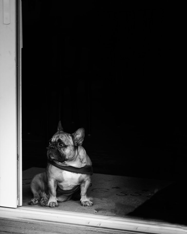Street photo in Antwerp, Belgium by Carl Wyatt
