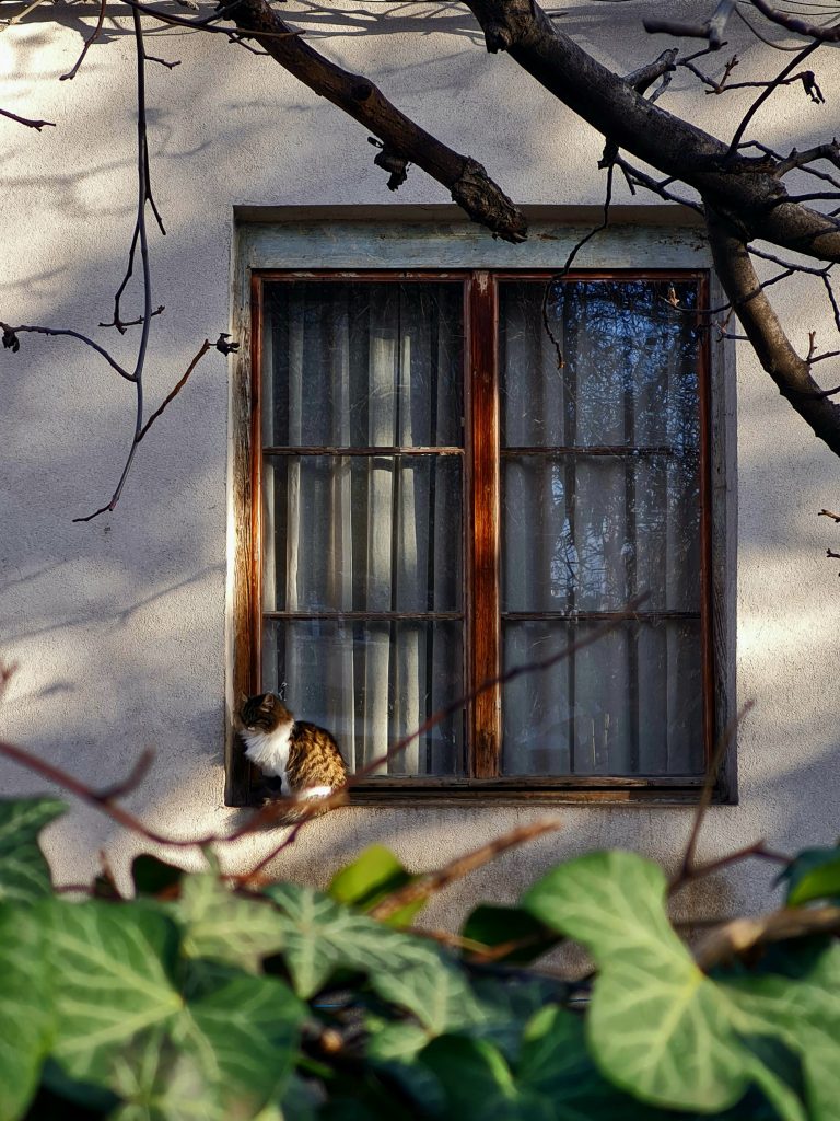Street photo in Sofia, Bulgaria by Anastasia Mihova