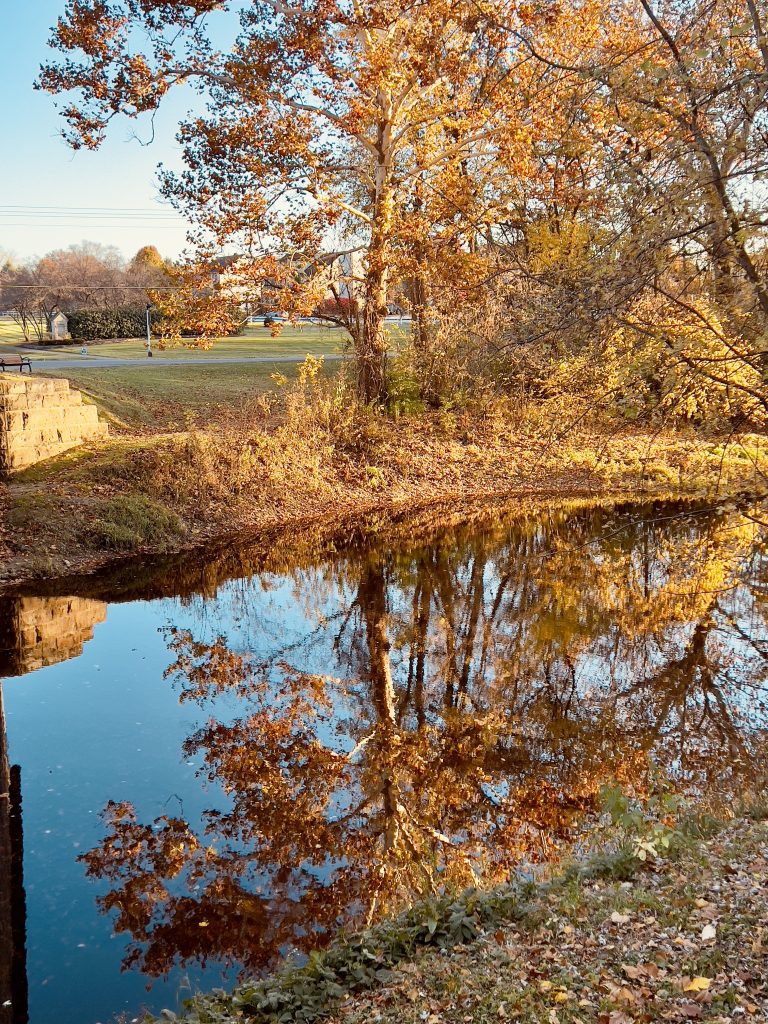 Street photo in Canal Winchester, United States by Virgil Mcclain