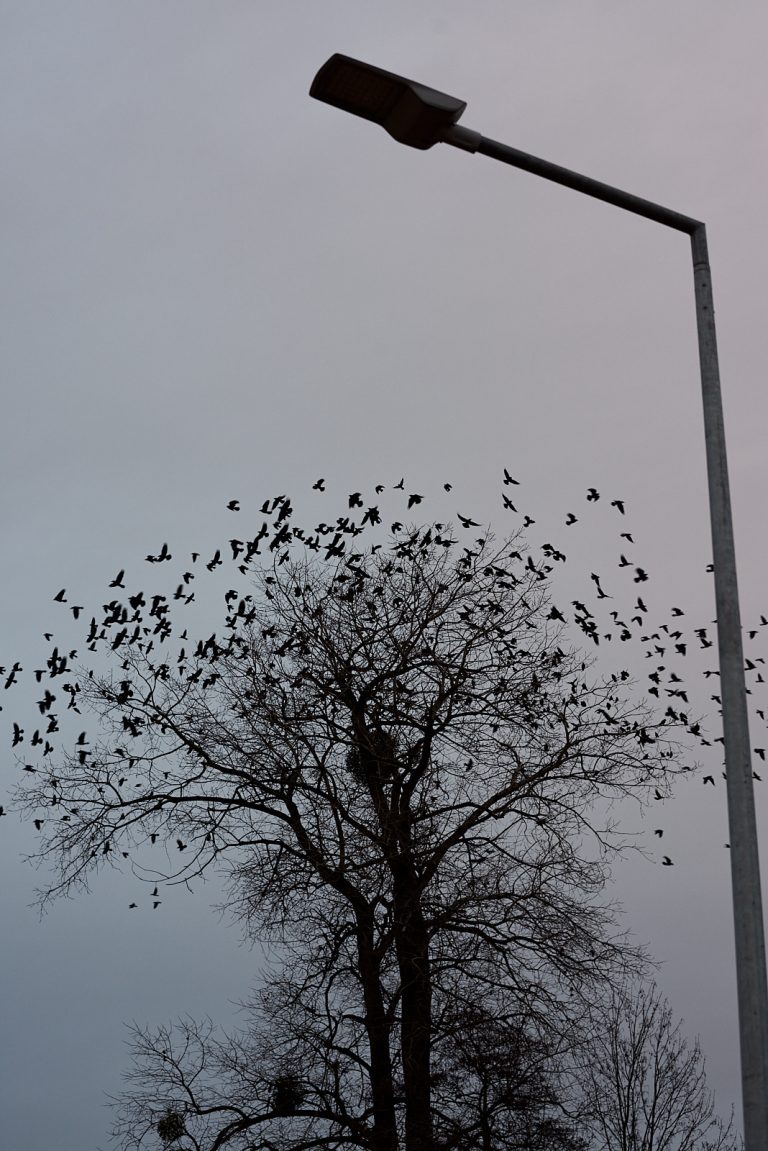 Street photo in Płońsk, Poland by Szymon Wolder