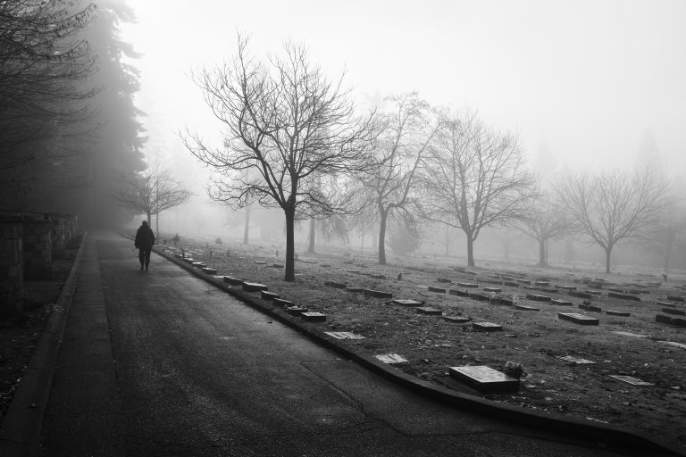 Street photo in Coquitlam, Canada by Jeremy Renke