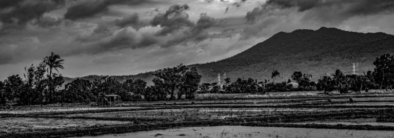Street photo in Calamba, Philippines by Shuffle 08
