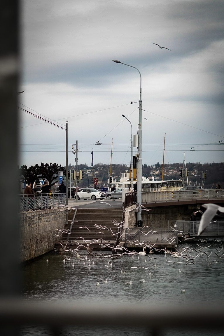 Photo by Halil Kaya
