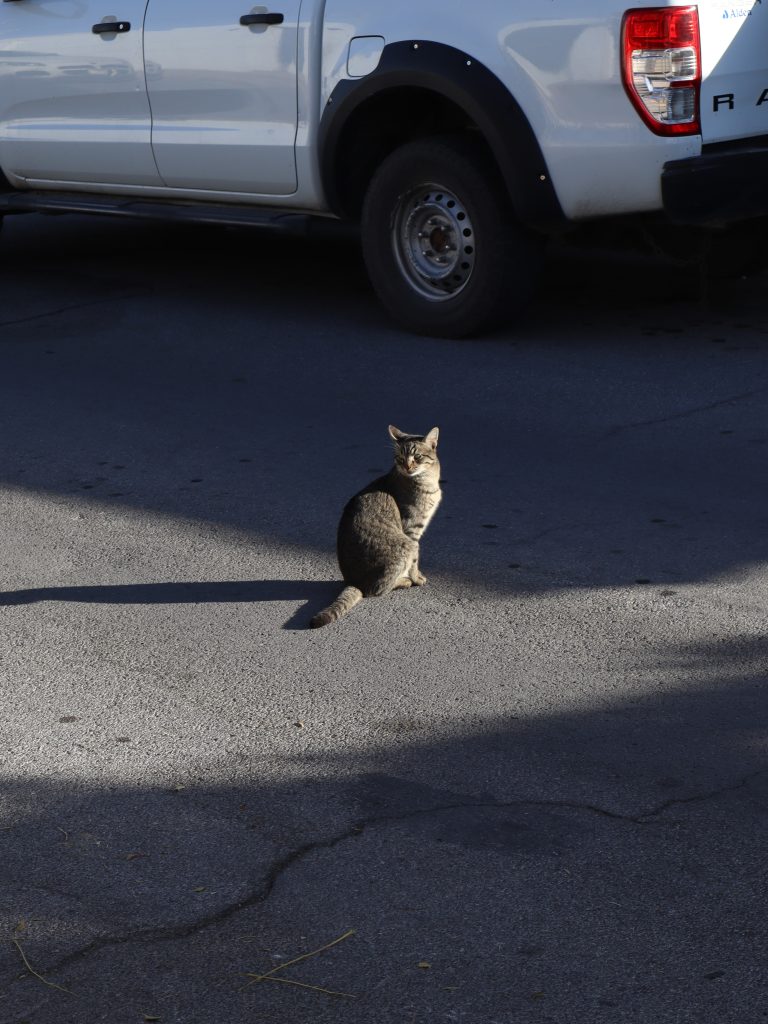 Street photo in Chihuahua, Mexico by Obed Andres Márquez Hernández