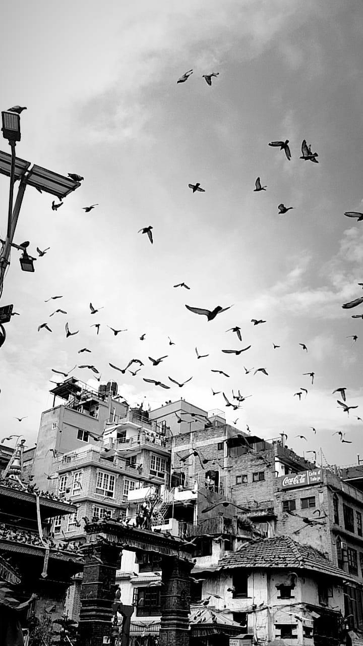 Street photo in Kathmandu, Nepal by Ali Sahil