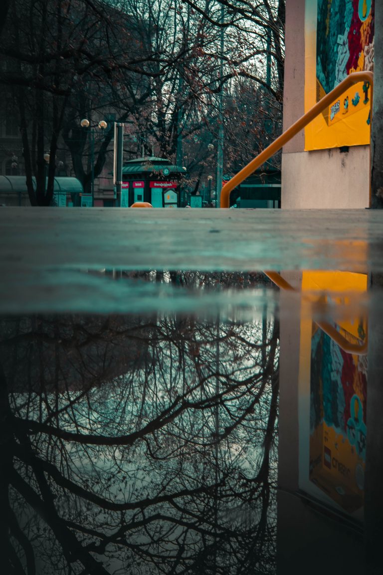 Photo by Balázs Palkó