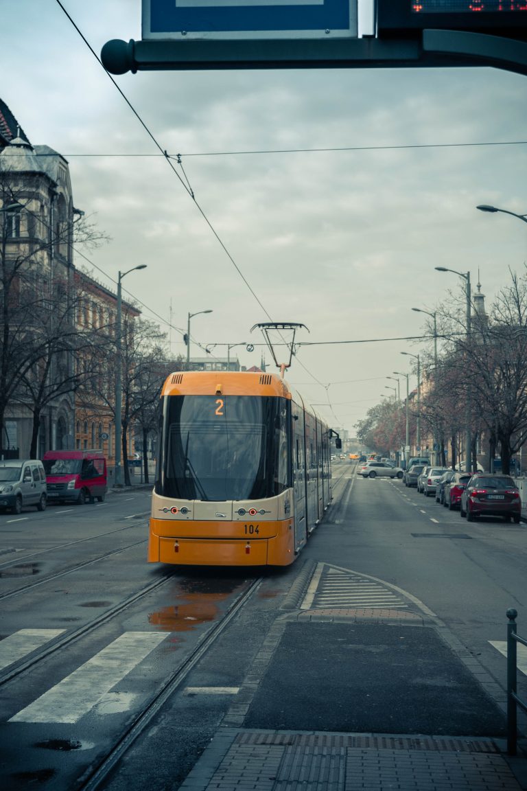 Photo by Balázs Palkó