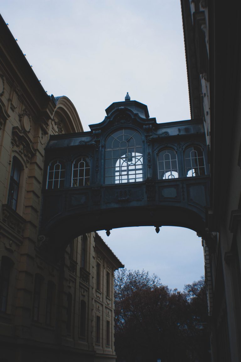 Photo by Balázs Palkó