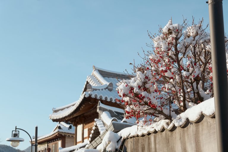 Street photo in Jeonju, South Korea by Okyu Choi
