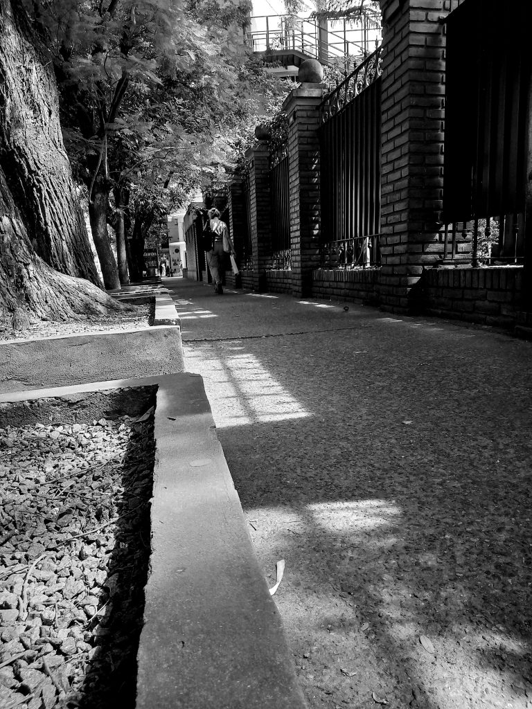 Photo by Guido Caporali