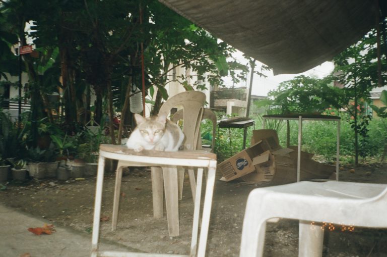 Street photo in Marilao, Philippines by Gavine Zurbano