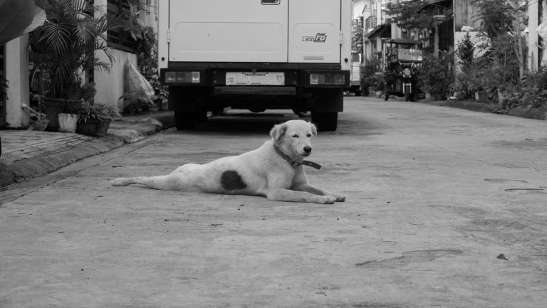 Street photo in Bulakan, Philippines by Gavine Zurbano