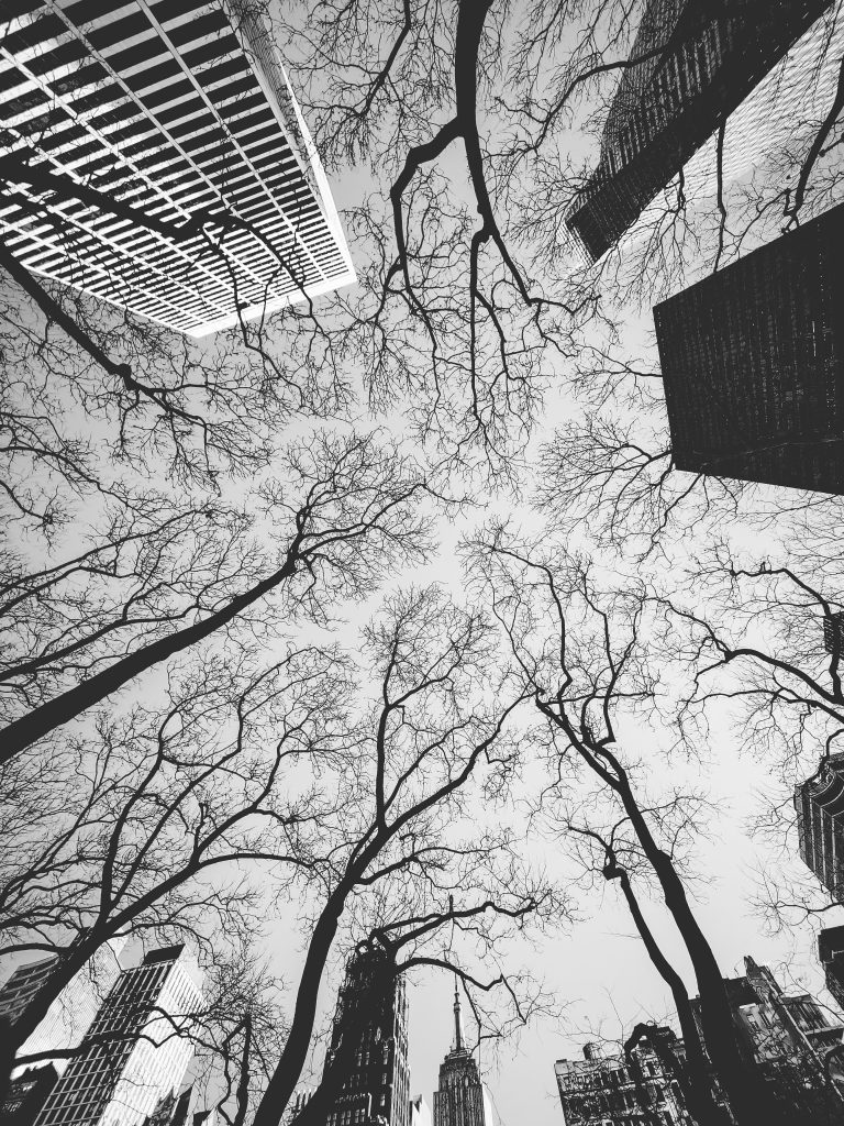 Street photo in New York, United States by Rashad Caldwell