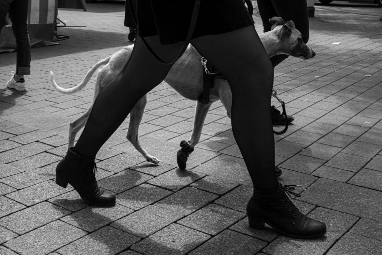 Street photo in Giessen, Germany by David Meister