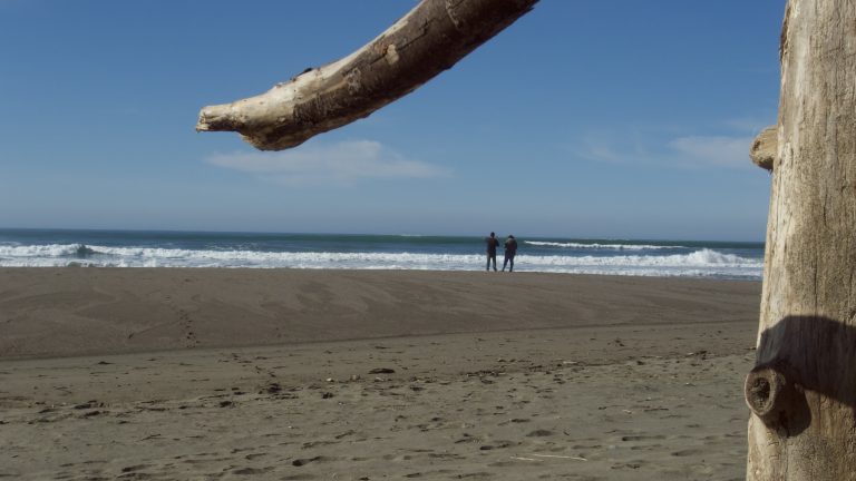 Street photo in Bodega Bay, United States by Luke Huang