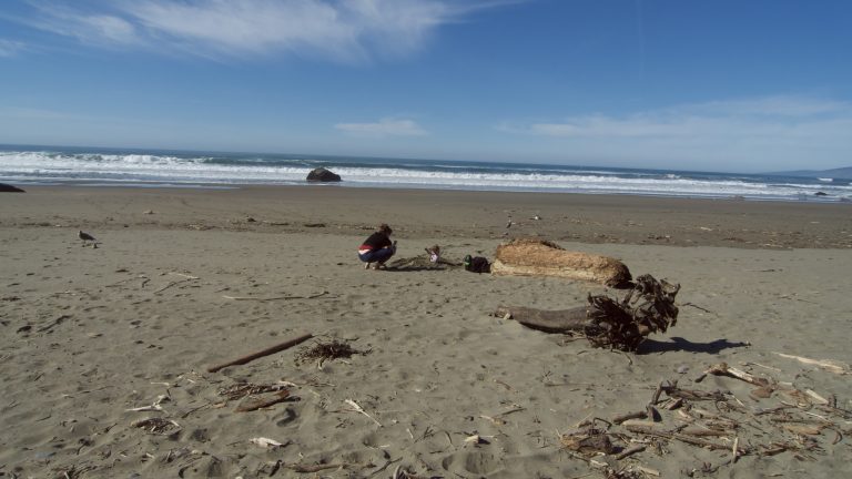 Street photo in Bodega Bay, United States by Luke Huang