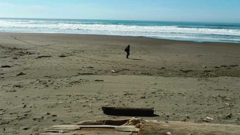 Street photo in Bodega Bay, United States by Luke Huang
