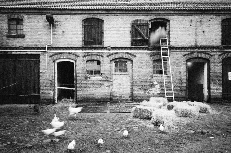 Street photo in Brandenburg, Germany by Alexander Philipps