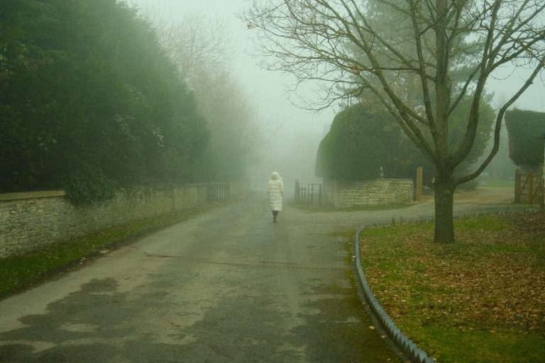 Photo by João Pinedo