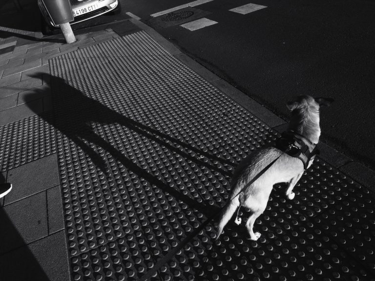 Street photo in A Coruña, Spain by Alberto Fernández
