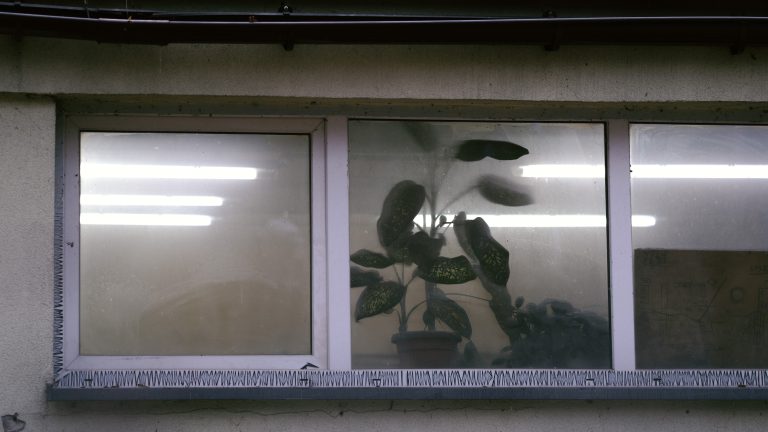 Photo by Bartosz Gabiś