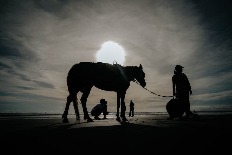 Photo by Kavin Faza