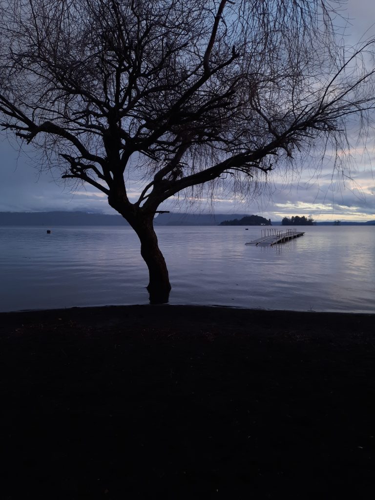 Street photo in Pucon, Chile by Joan Del Santo