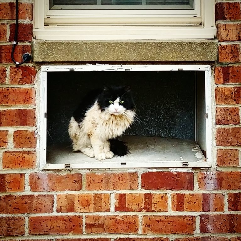 Street photo in Newark, United States by Rashad Caldwell