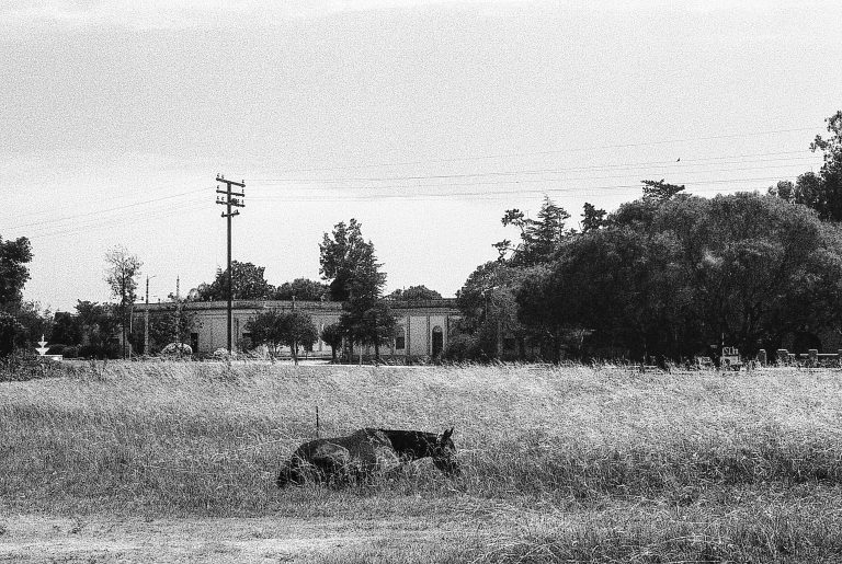 Street photo in Avellaneda, Argentina by Nahuel José