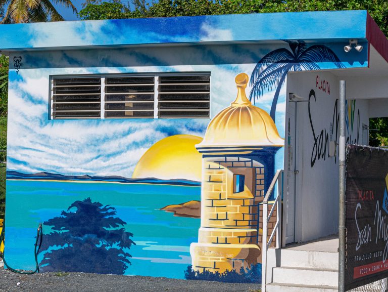 Street photo in Trujillo Alto, Puerto Rico by Pablo Cruz