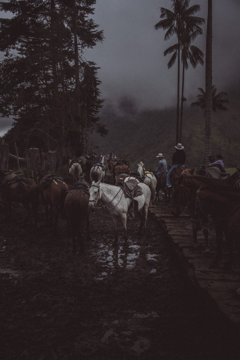 Street photo in Vía al Valle del Cocora, Colombia by Gianluca Rospigliosi